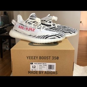 Yeezy Zebra 12 dead stock